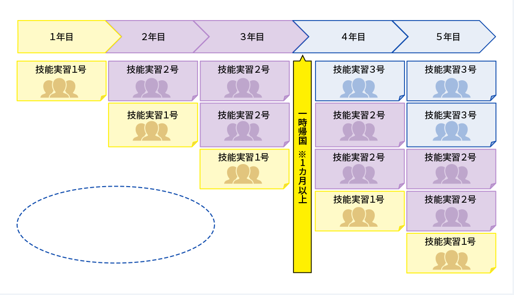 5年間継続受入れにより15人の受入れが可能（30人以下の企業の場合）