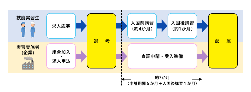 受入れまでの流れ